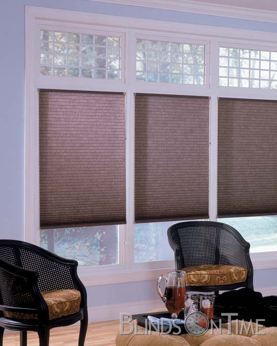 BlindsOnTime Express Double Cellular Shades 3/8" Cell Light
